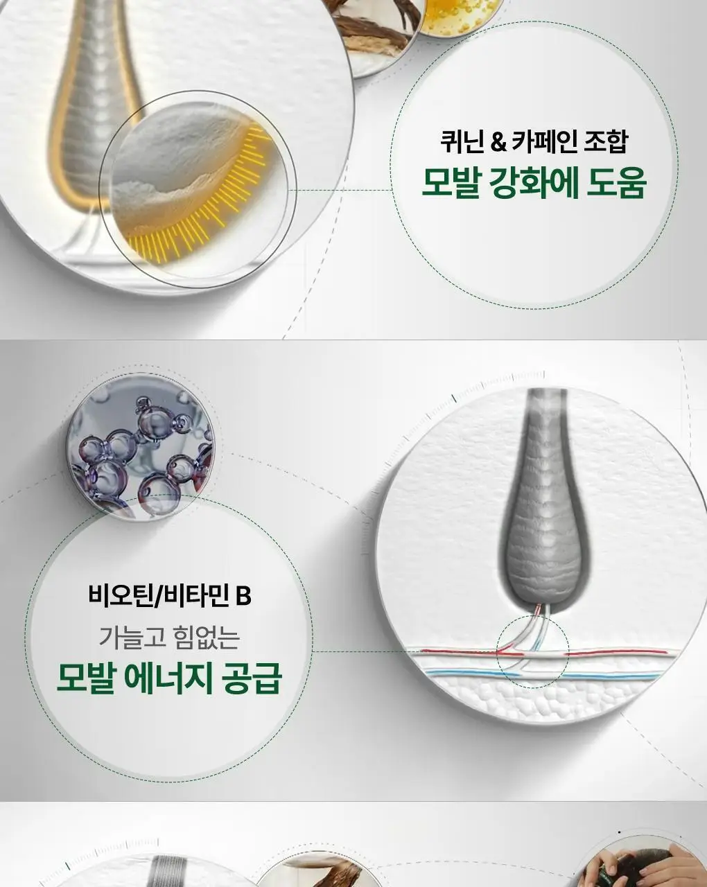 [두피활력 & 모발강화] 클로란 퀴닌 에델바이스 샴푸 더블 기획 (400ml 2입기획) 상세페이지 11